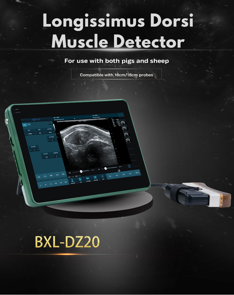 BXL-DZ20 Animal OPU Doppler Ultrasound | For artificial insemination of pigs and sheep(图1)