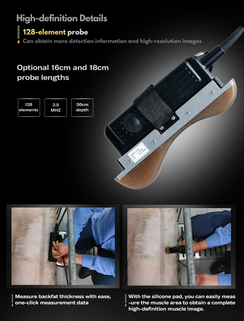 BXL-DZ20 Animal OPU Doppler Ultrasound | For artificial insemination of pigs and sheep(图3)