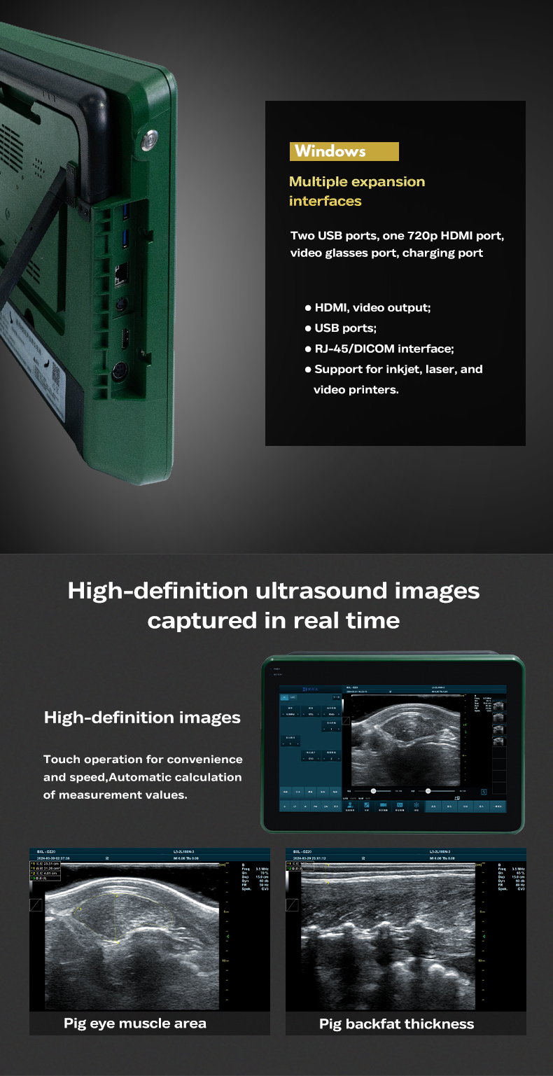 BXL-DZ20 Animal OPU Doppler Ultrasound | For artificial insemination of pigs and sheep(图4)