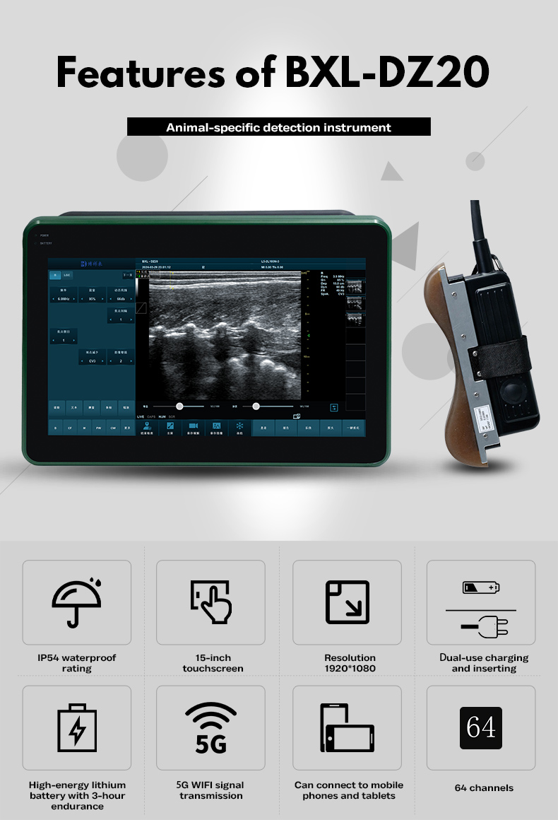 BXL-DZ20 Animal OPU Doppler Ultrasound | For artificial insemination of pigs and sheep(图5)