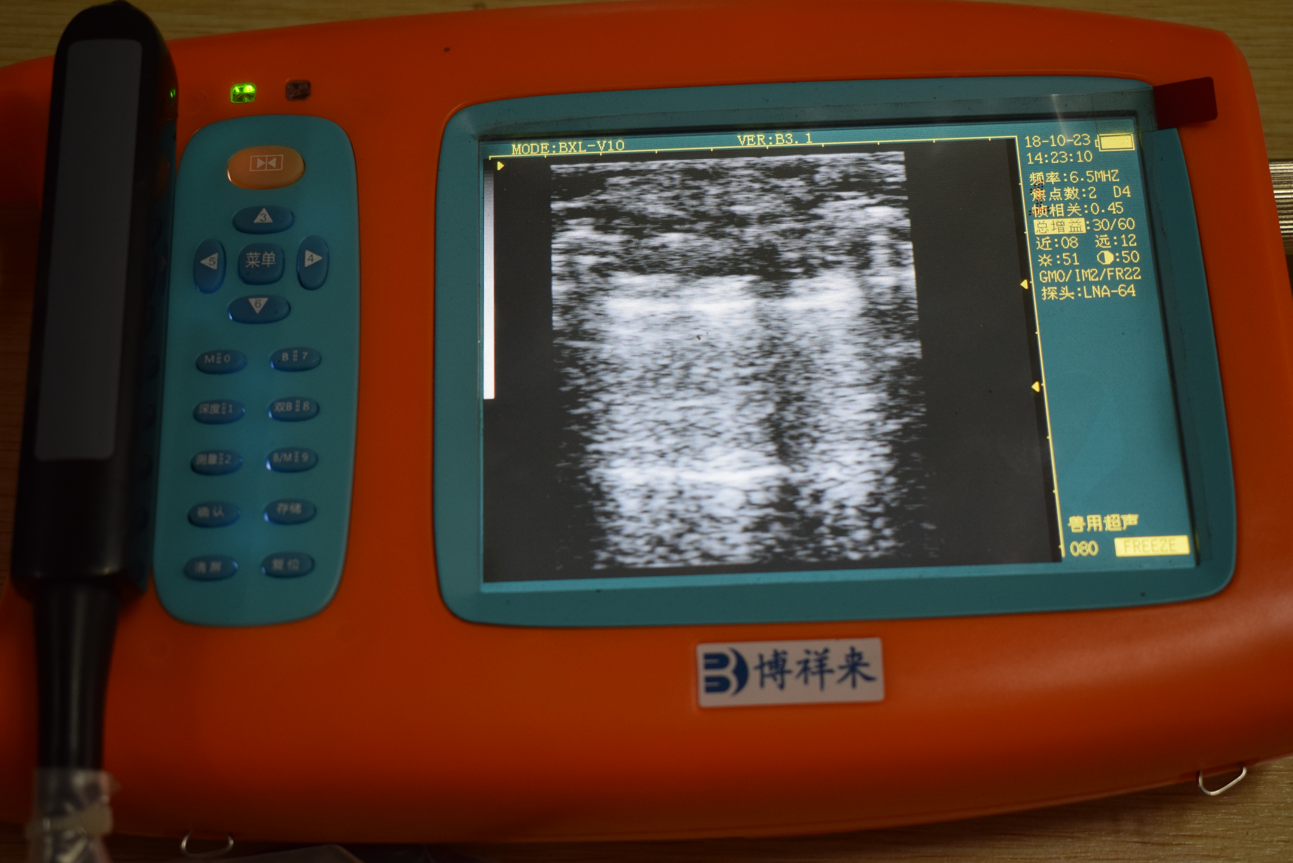 The effects of heat and cold stress on embryos were examined by B-ultrasound in sheep