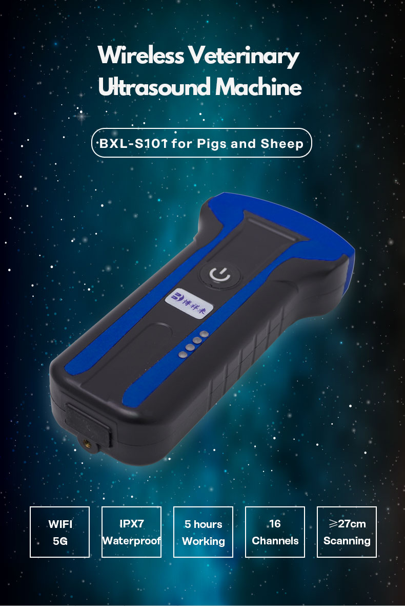 BXL-S101 Wireless veterinary ultrasound machine(图1)