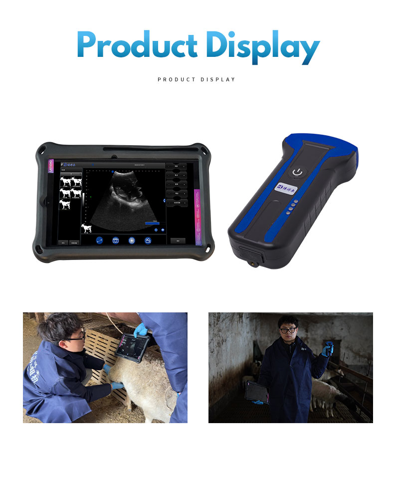 BXL-S101 Wireless veterinary ultrasound machine(图4)