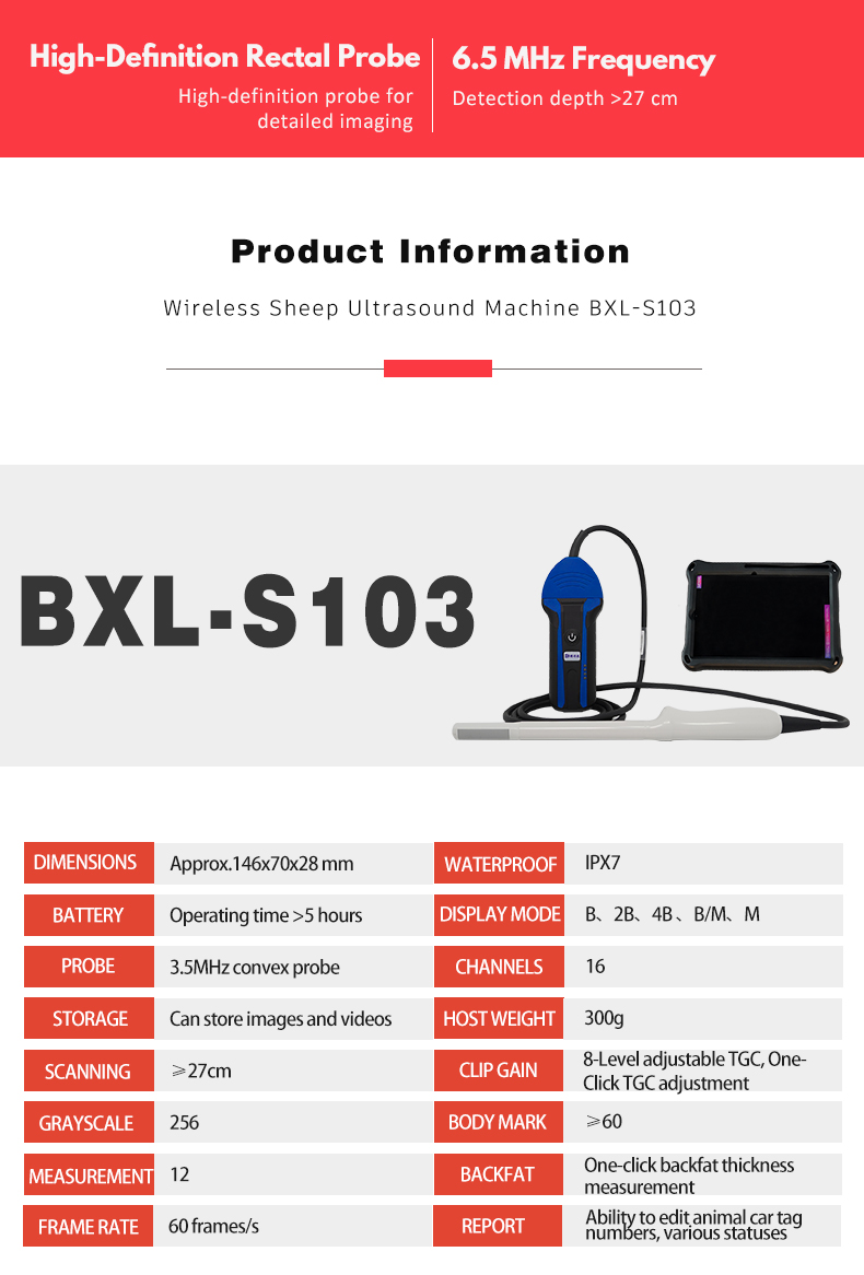 BXL-S103 Wireless Ultrasound System For Sheep lPX7(图3)