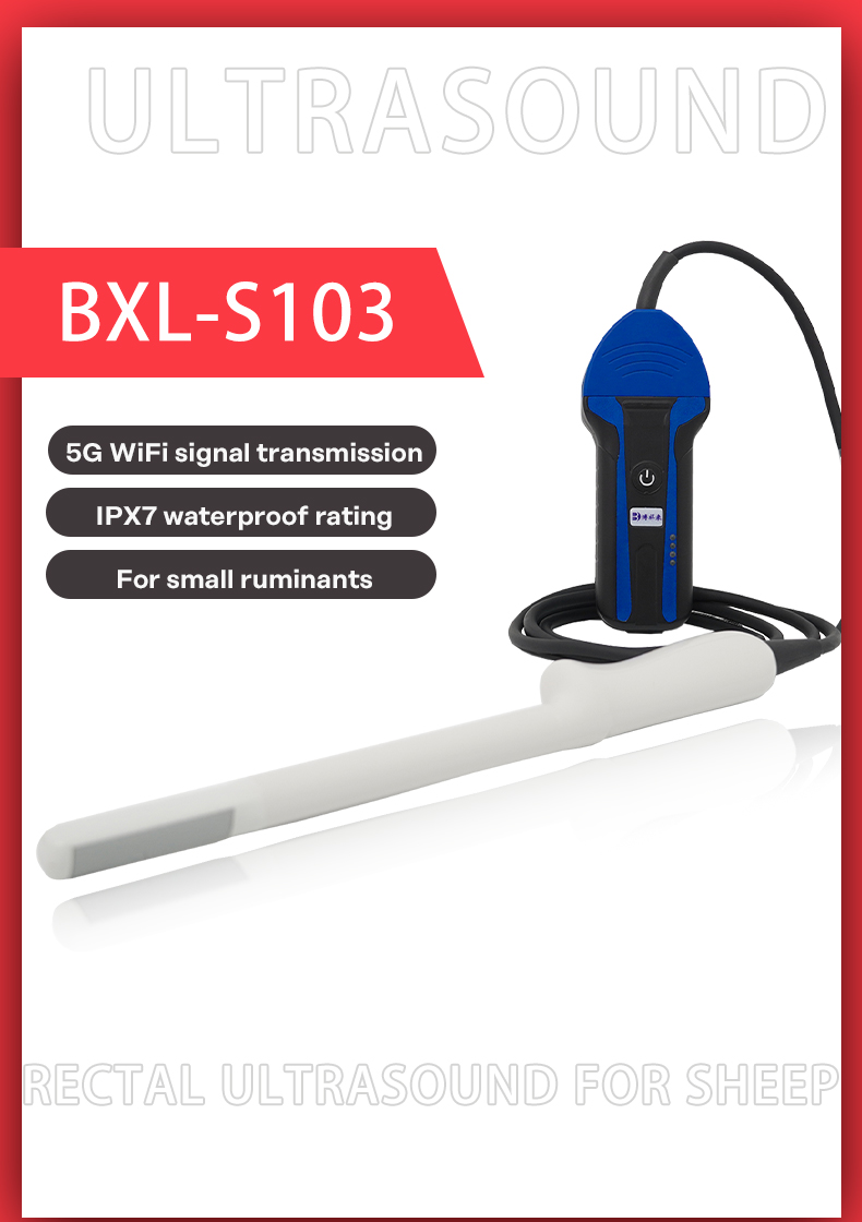 BXL-S103 Wireless Ultrasound System For Sheep lPX7(图1)