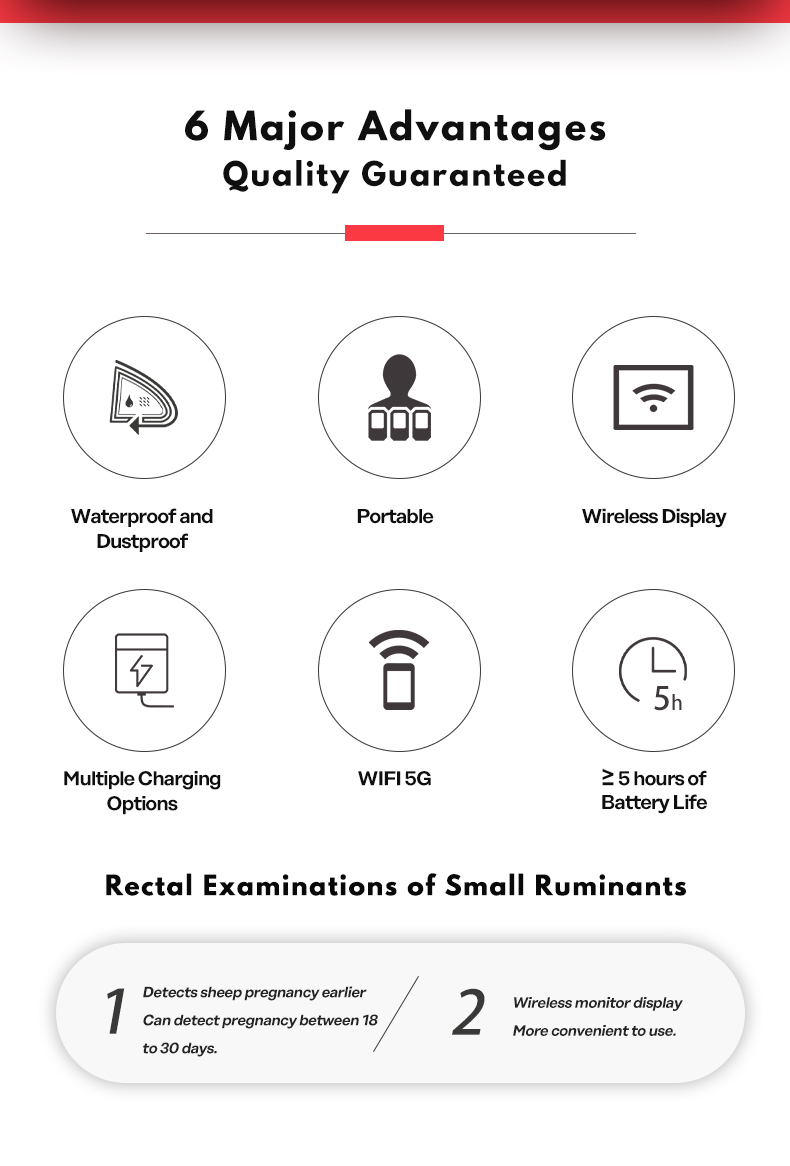 BXL-S103 Wireless Ultrasound System For Sheep lPX7(图2)