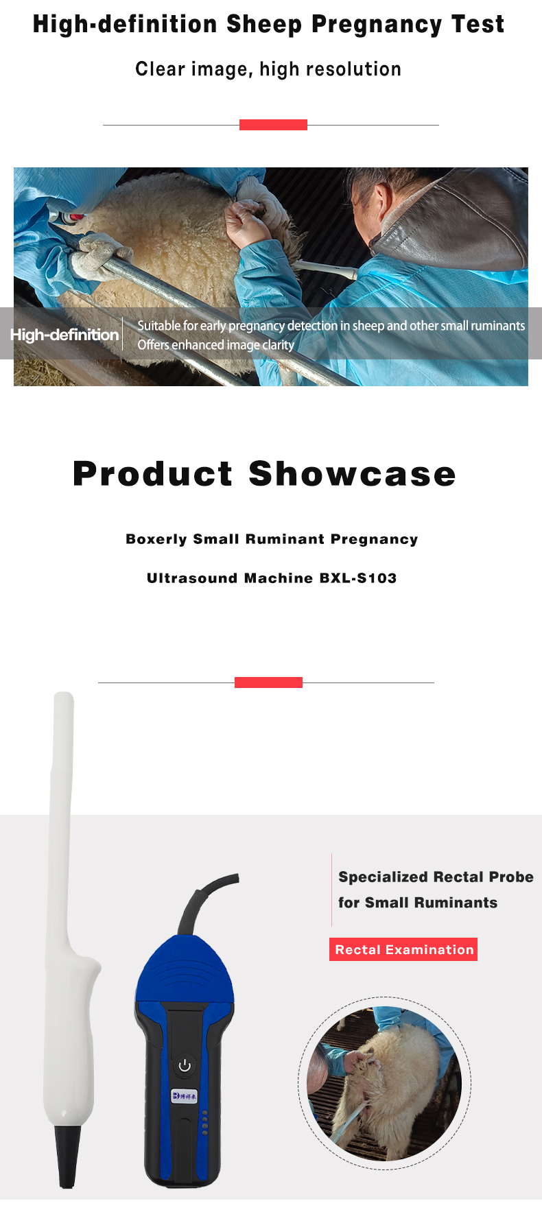 BXL-S103 Wireless Ultrasound System For Sheep lPX7(图5)