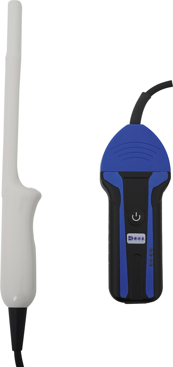 BXL-S103 Wireless Ultrasound System For Sheep lPX7