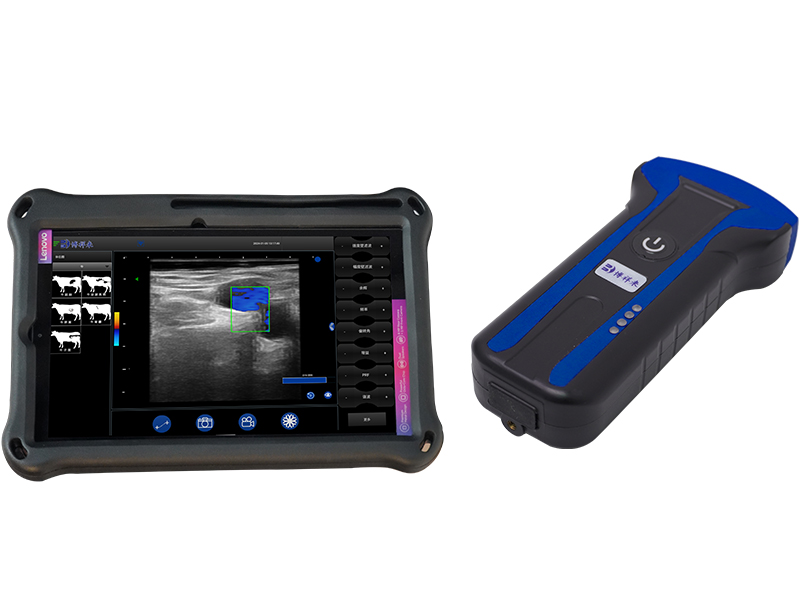 What is the Function of Ultrasound Instruments for Horses?
