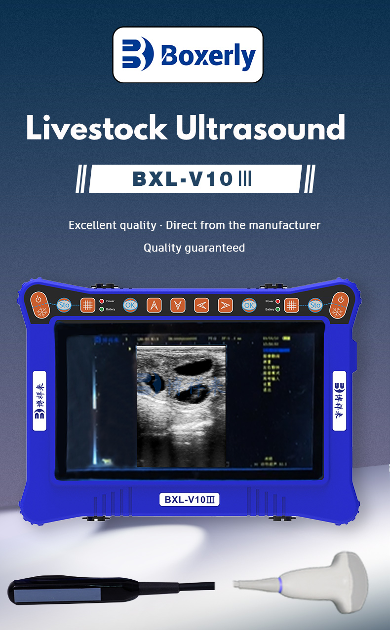 BXL-V10Ⅲ Portable USG Veterinary Ultrasound Machine(图1)