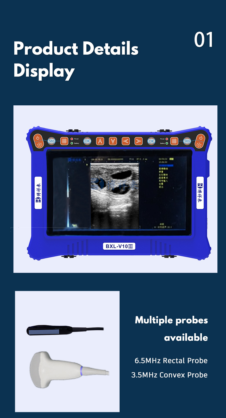 BXL-V10Ⅲ Portable USG Veterinary Ultrasound Machine(图5)