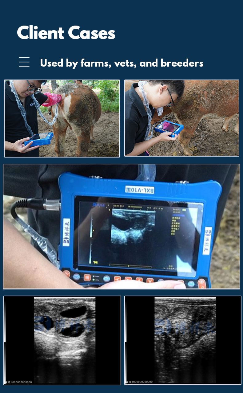 BXL-V10Ⅲ Portable USG Veterinary Ultrasound Machine(图8)