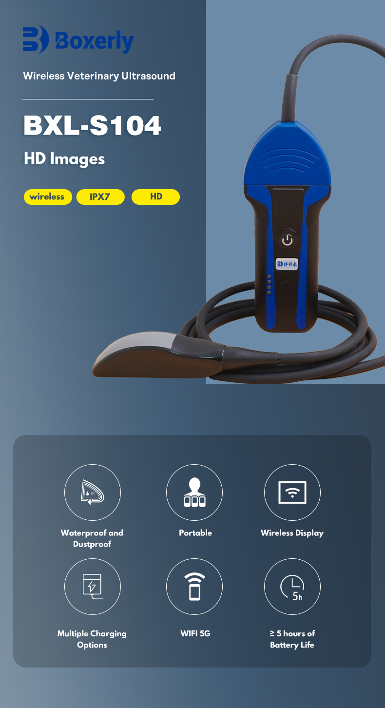 BXL-S104 Portable wireless Veterinary ultrasound device(图1)