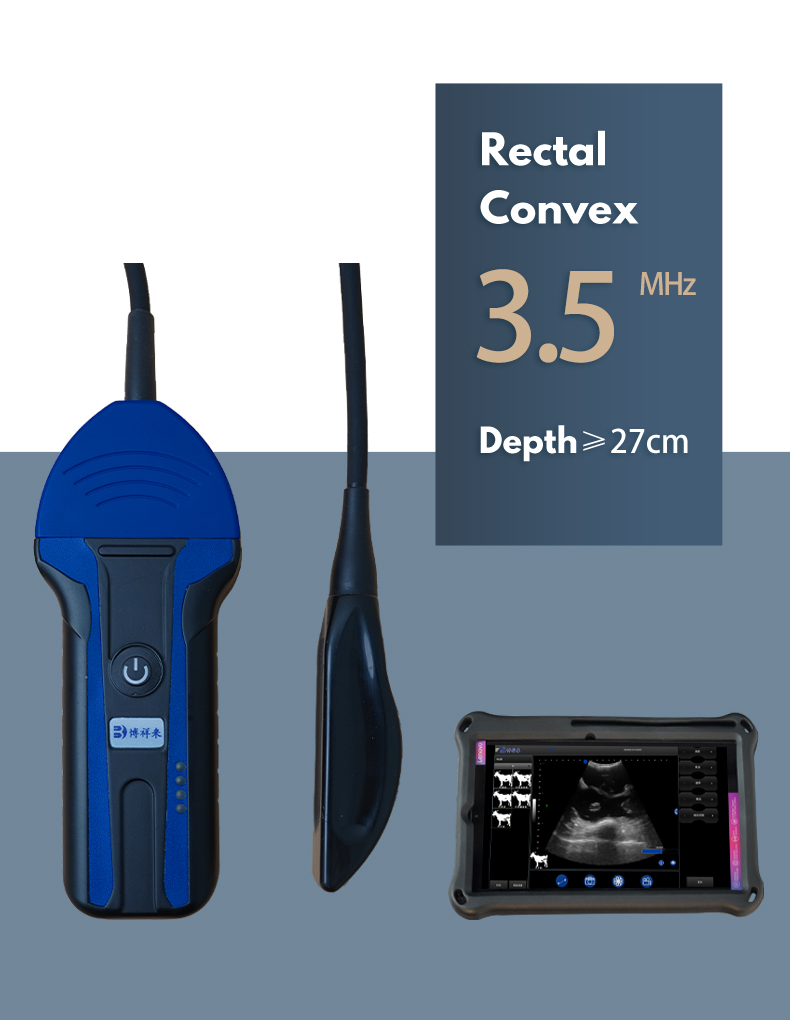 BXL-S104 Portable wireless Veterinary ultrasound device(图2)