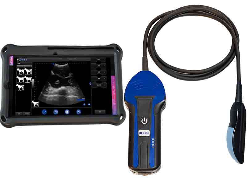 BXL-S104 Portable wireless Veterinary ultrasound device