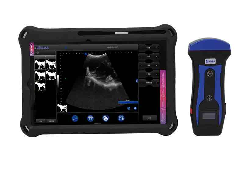 BXL-S201 portable wireless veterinary ultrasound instrument