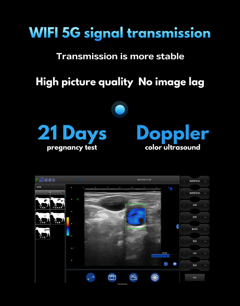 BXL-S201 portable wireless veterinary ultrasound instrument(图3)