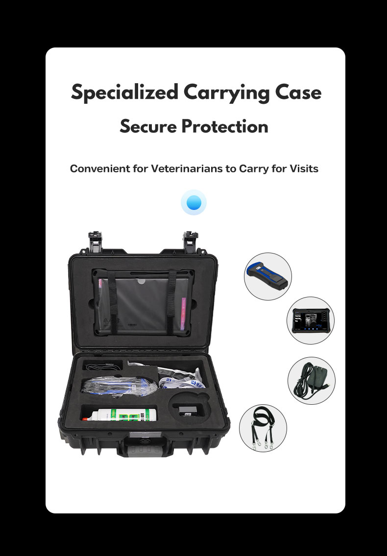BXL-S201 portable wireless veterinary ultrasound instrument(图6)