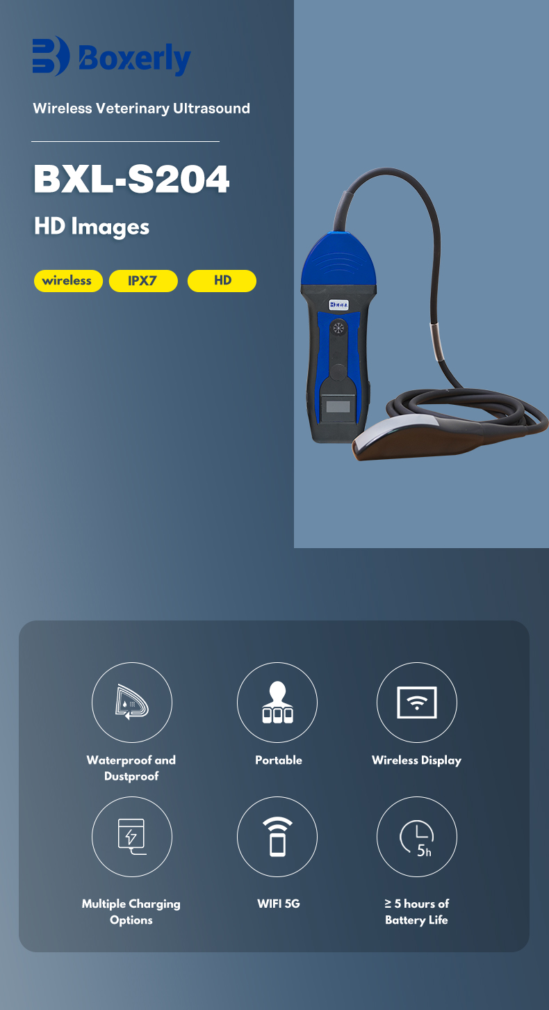 BXL-S204 portable wireless veterinary ultrasound machine(图1)