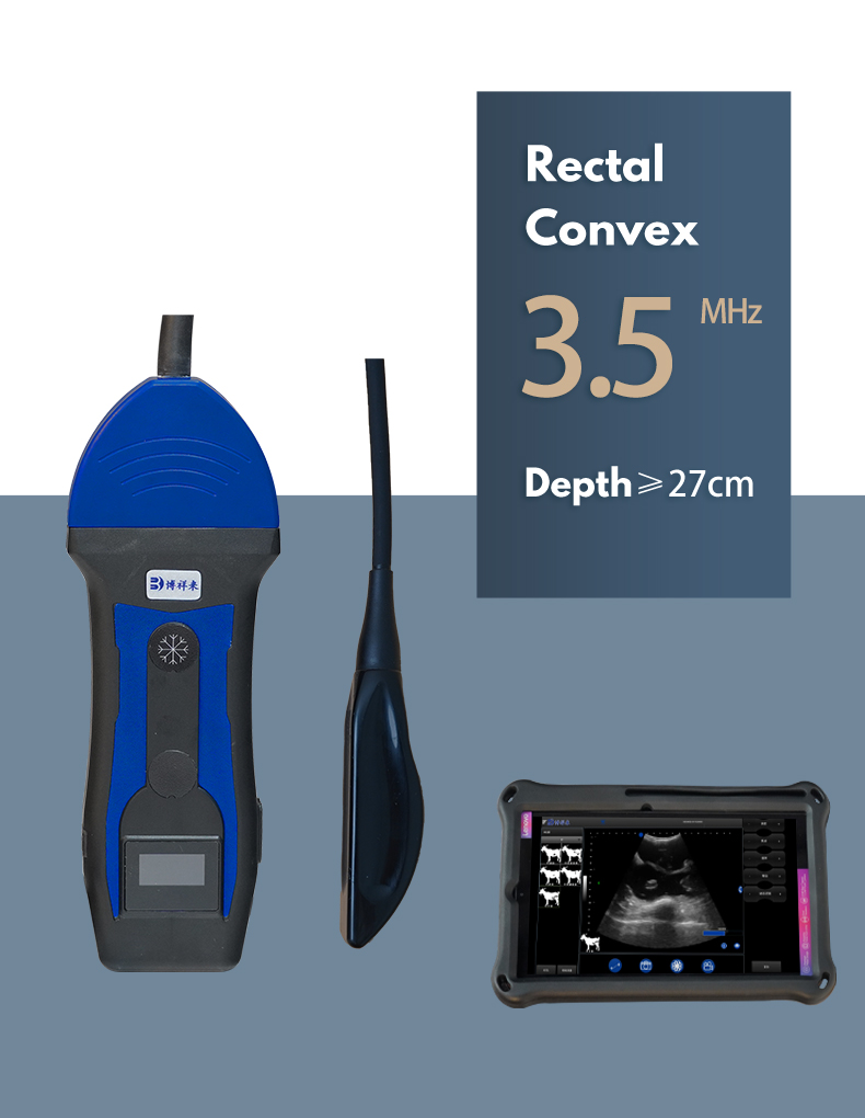 BXL-S204 portable wireless veterinary ultrasound machine(图2)