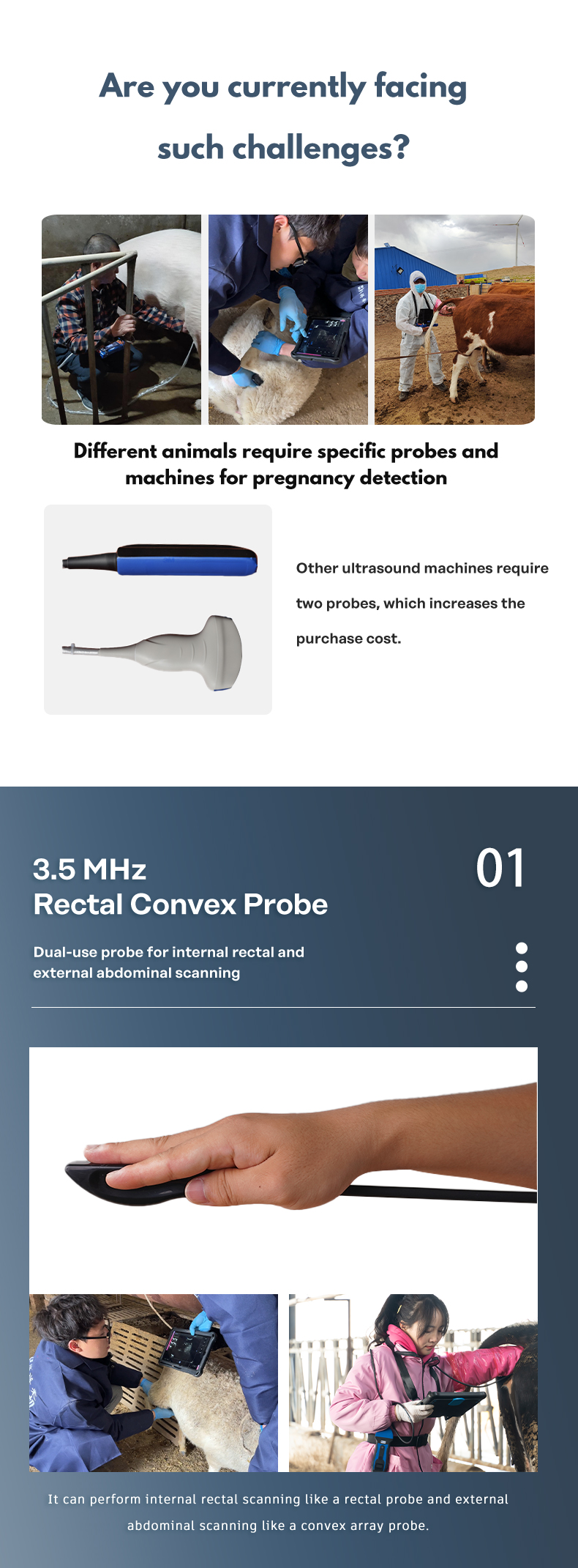 BXL-S204 portable wireless veterinary ultrasound machine(图3)