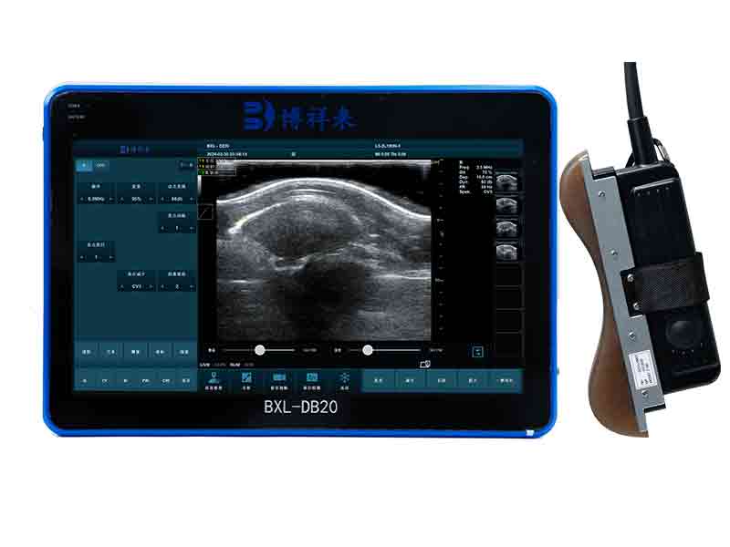 BXL-DZ20 Veterinary back fat eye muscle measuring instrument