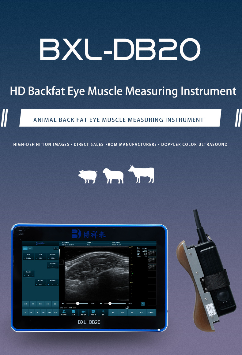 BXL-DZ20 Veterinary back fat eye muscle measuring instrument(图1)