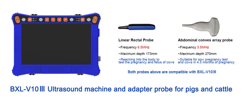 Revolutionizing Livestock Management with Veterinary Ultrasound Technology(图2)