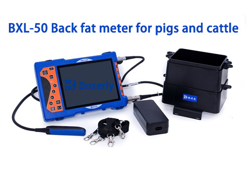 Measuring animal back fat at home? Correct use of veterinary backfat meter method(图3)