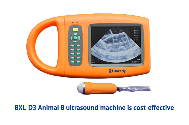 Can Animals Have Ultrasound? Exploring the Use of Veterinary Ultrasound Technology(图4)