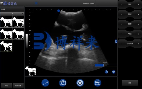 Veterinary ultrasound leads the development wave of animal husbandry(图3)