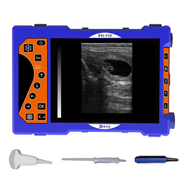 BXL-V50 Portable Veterinary Ultrasound Scanner