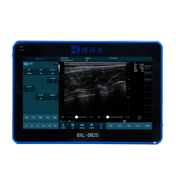 BXL-DB20 veterinary back fat eye muscle measuring instrument