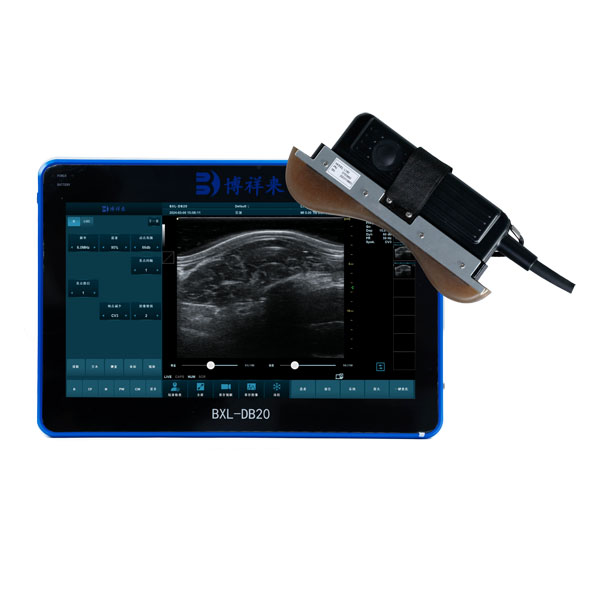 BXL-DB20 veterinary back fat eye muscle measuring instrument