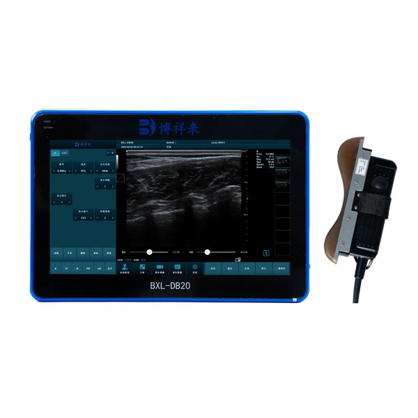 BXL-DB20 veterinary back fat eye muscle measuring instrument
