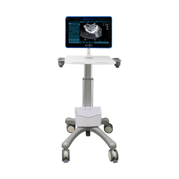 BXL-DB20 veterinary back fat eye muscle measuring instrument