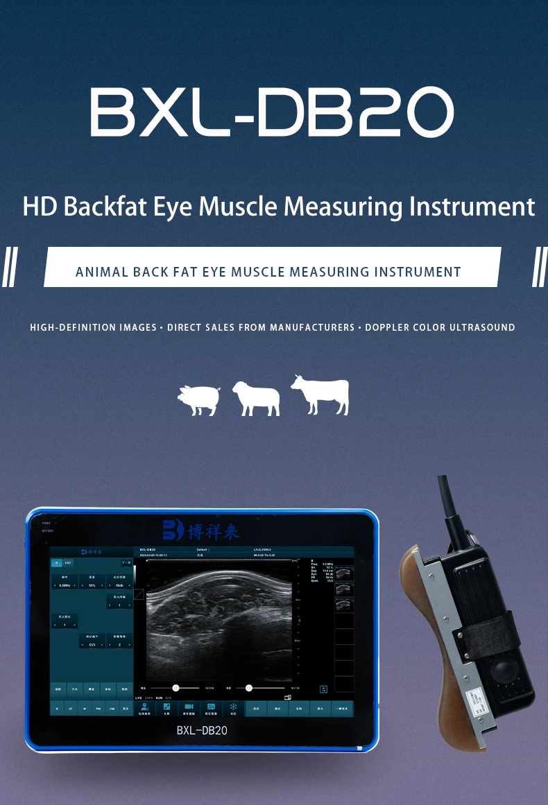 BXL-DB20 veterinary back fat eye muscle measuring instrument(图1)