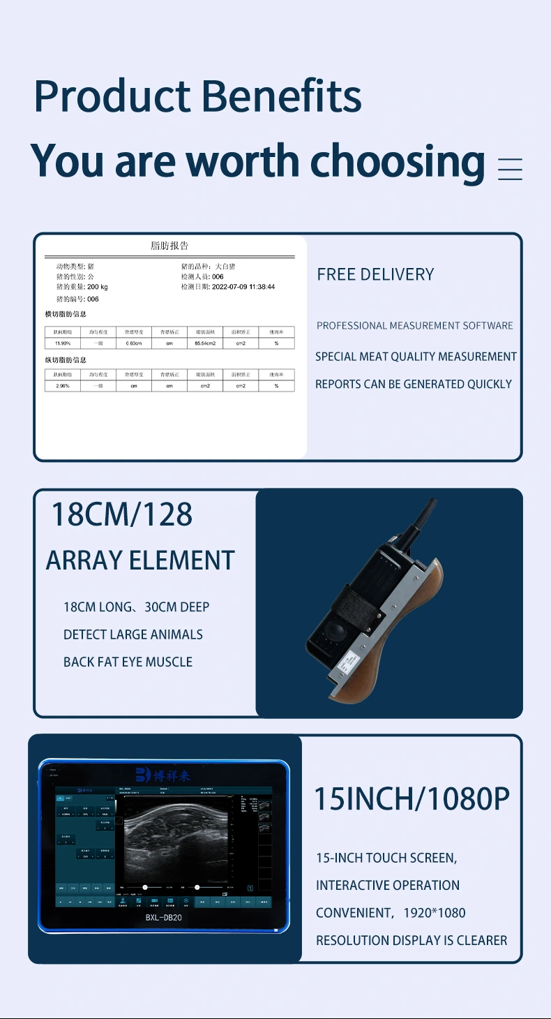 BXL-DB20 veterinary back fat eye muscle measuring instrument(图4)