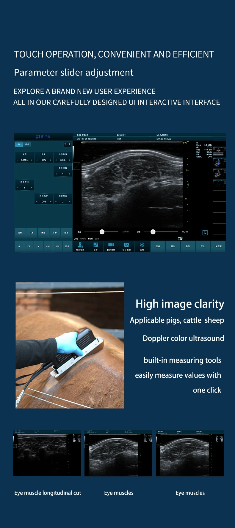 BXL-DB20 veterinary back fat eye muscle measuring instrument(图5)