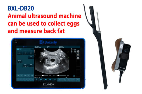 How Many Types of Veterinary Ultrasound Probes Are There?(图2)