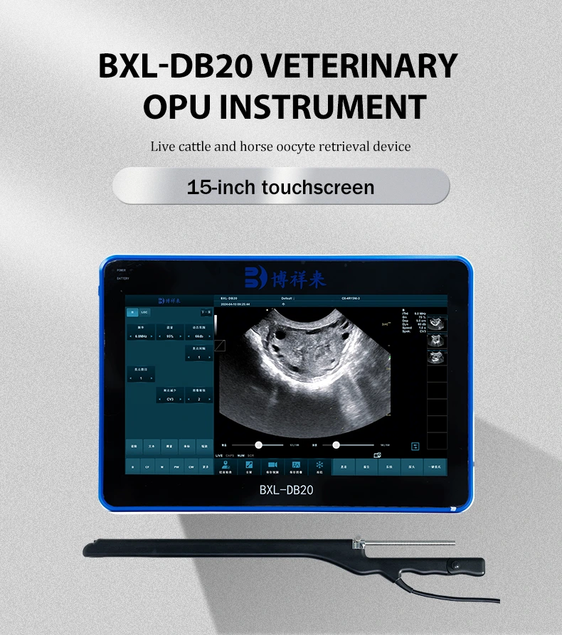 BXL-DB20 Vet OPU Doppler | For oocyte collection in cattle, horses, camels(图1)