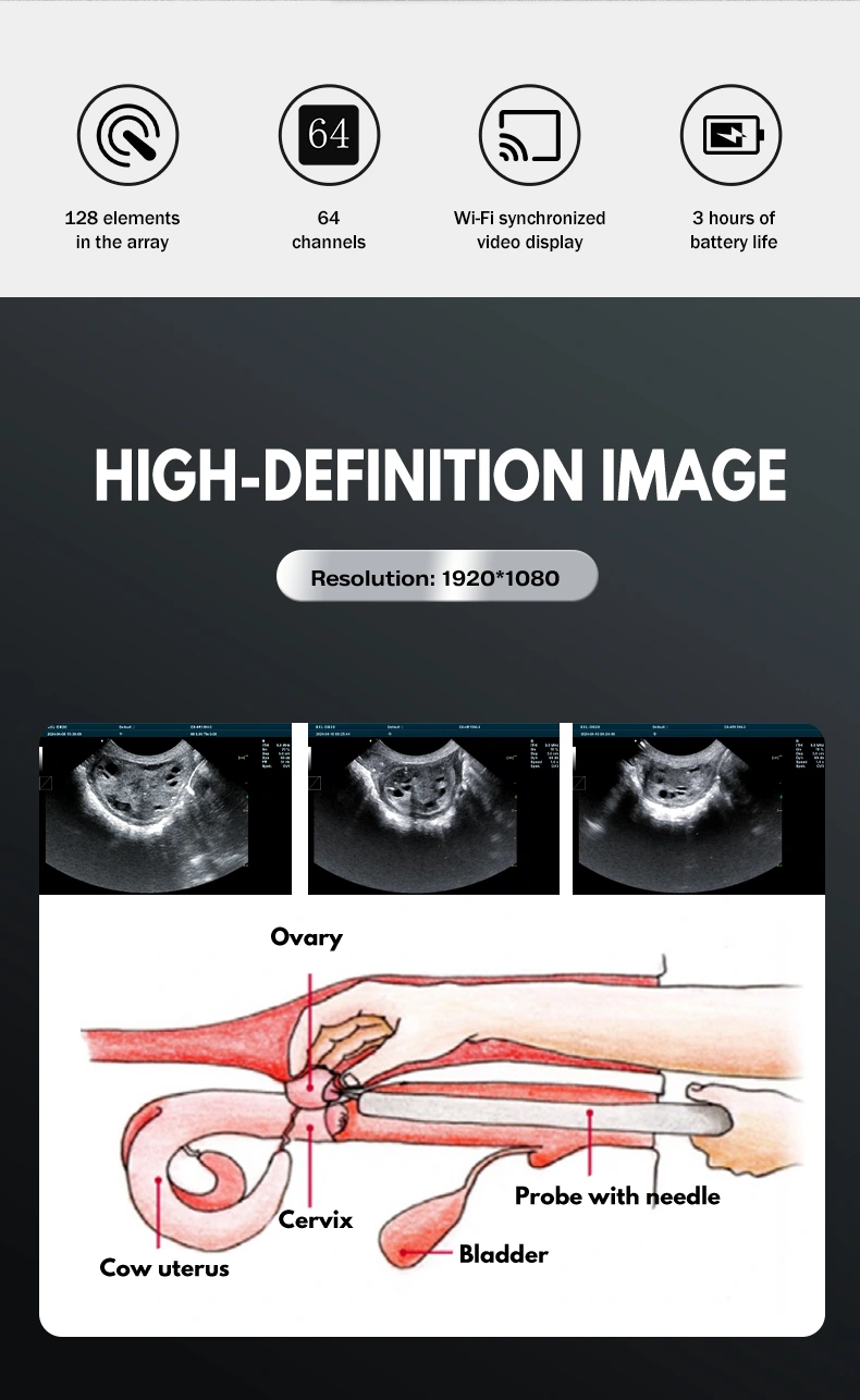 BXL-DB20 Vet OPU Doppler | For oocyte collection in cattle, horses, camels(图2)
