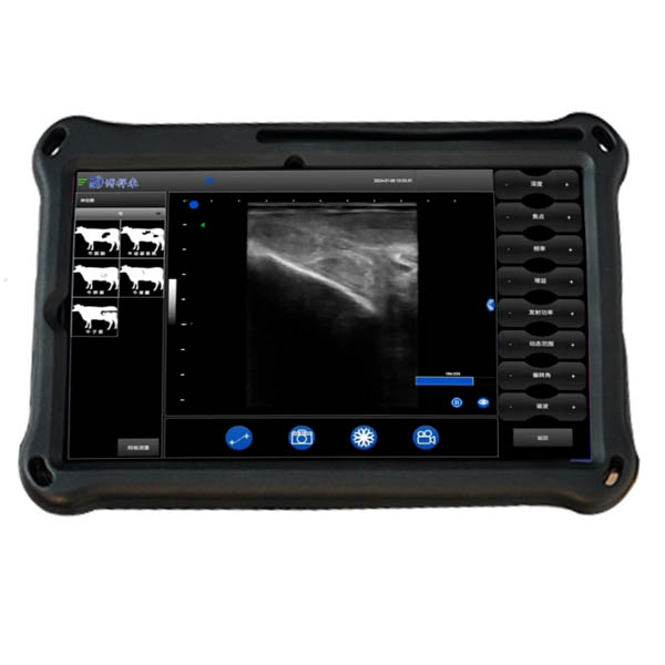 BXL-S200 Wireless Portable Veterinary Doppler Ultrasound