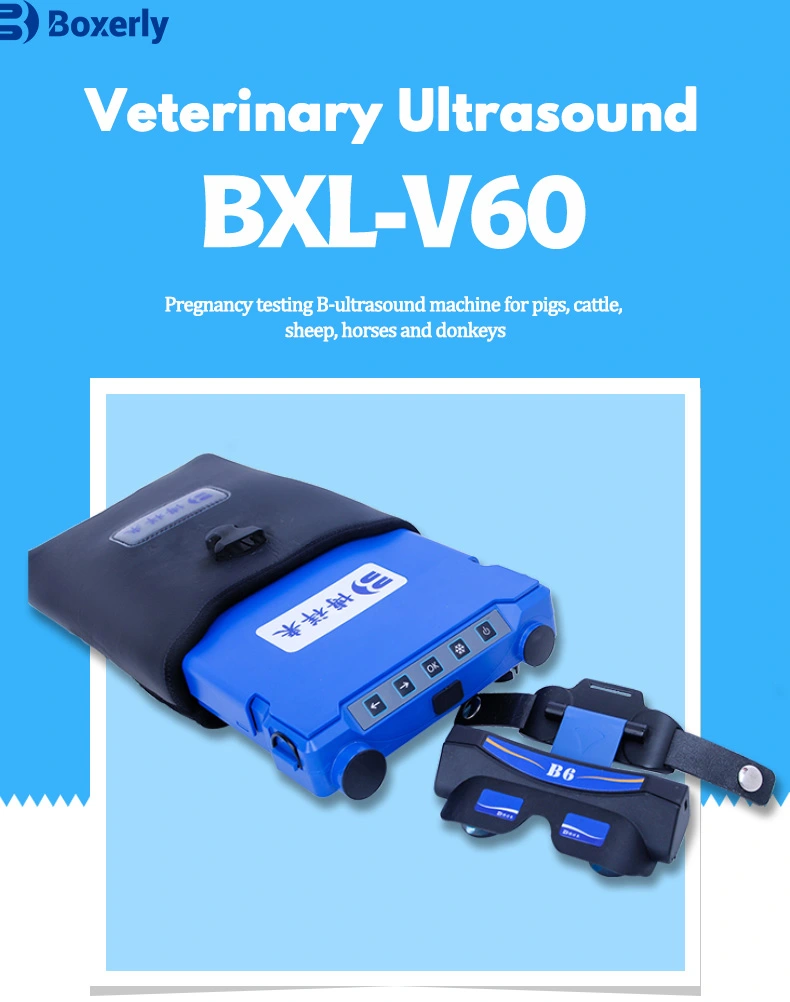 BXL-V60 Portable Video Glasses Ultrasound Instrument(图1)