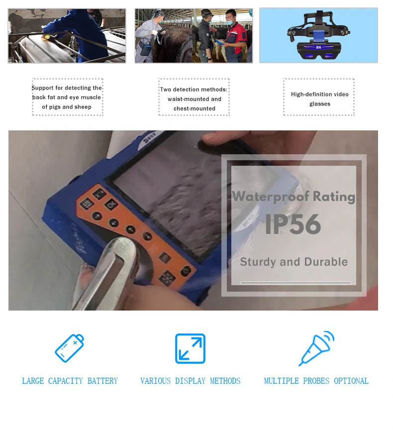 BXL-V60 Portable Video Glasses Ultrasound Instrument(图4)
