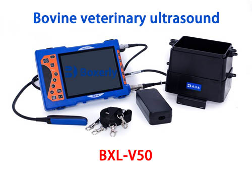 how to become a veterinary ultrasound tech(图4)