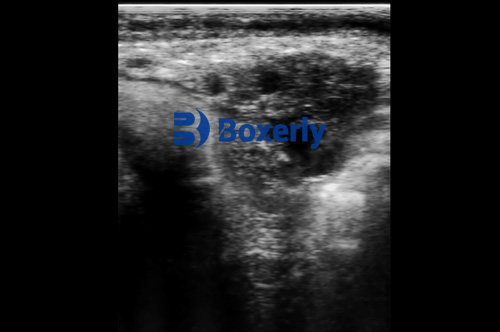 how to become a veterinary ultrasound tech(图6)