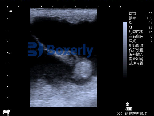 how to use portable ultrasound machine​(图8)