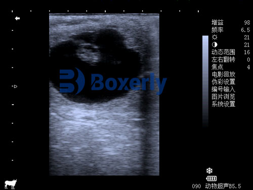Can a Vet Ultrasound Machine Be Used on Humans(图3)