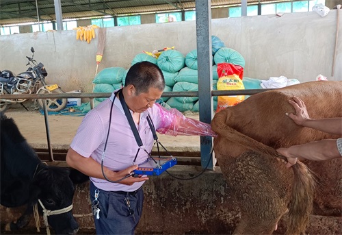 The Role of Ultrasound in Emergency Veterinary Medicine